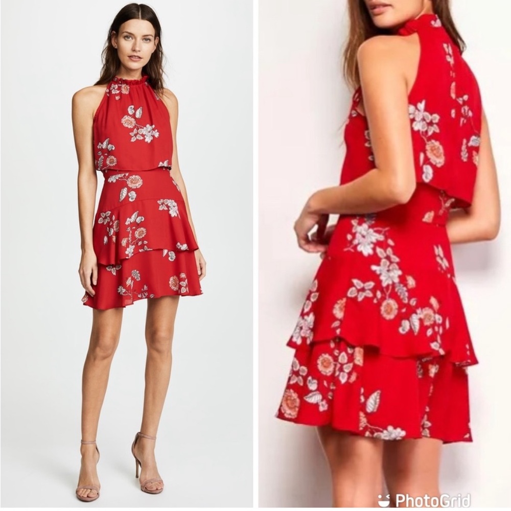 BB Dakota Cadence Dress